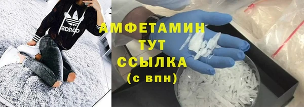 сатива Осинники