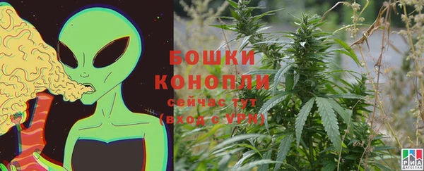 сатива Осинники