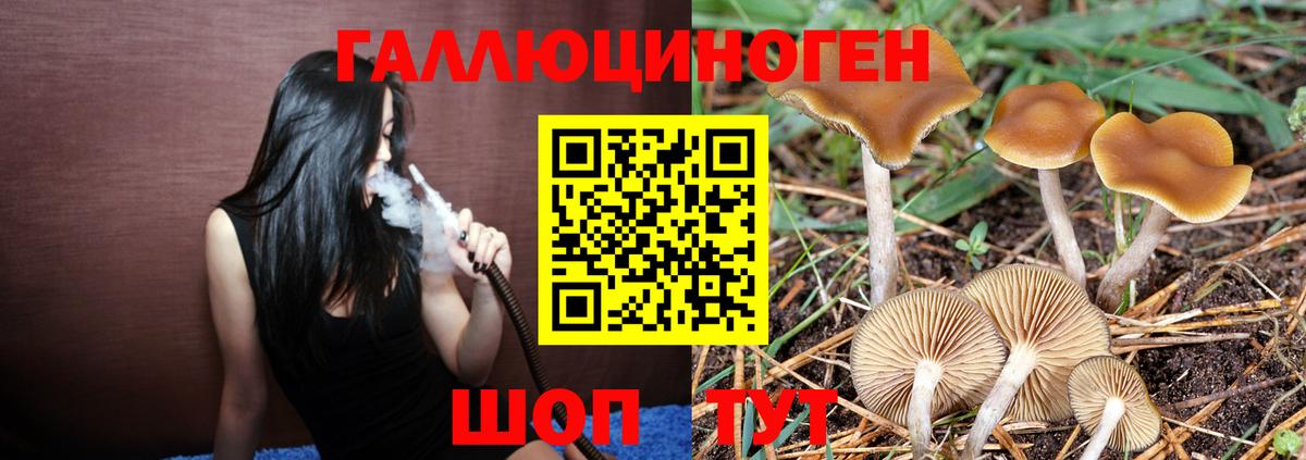 Псилоцибиновые грибы Cubensis  Вход с VPN  Михайловск 